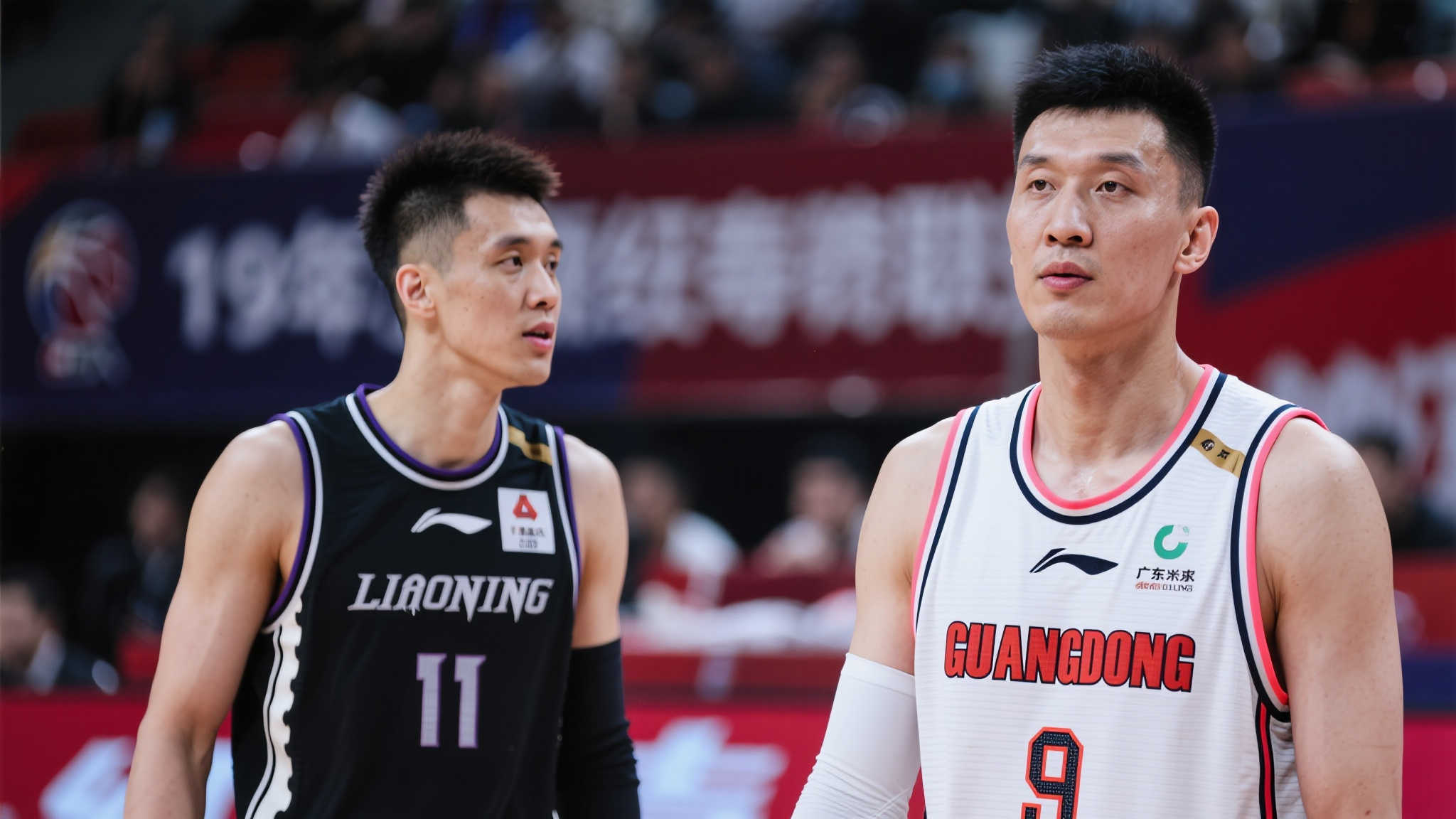 增添了更多 增添了更多