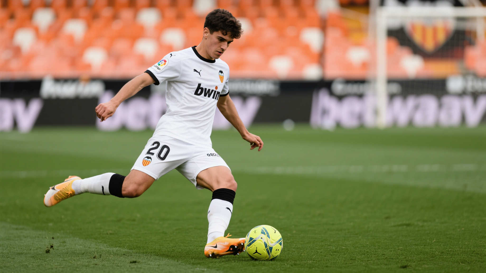 只有通过共 只有通过共